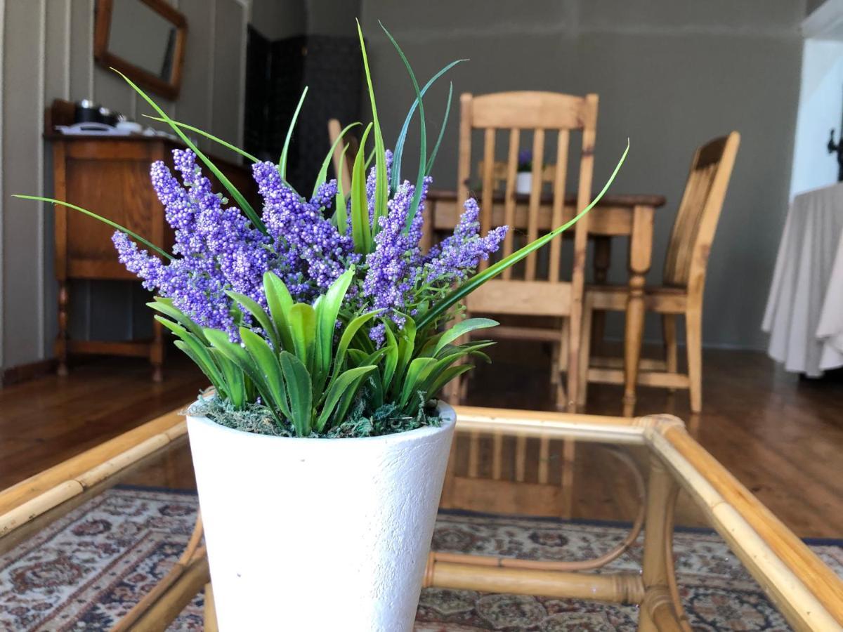 The Lavender Guesthouse Kroonstad Eksteriør billede